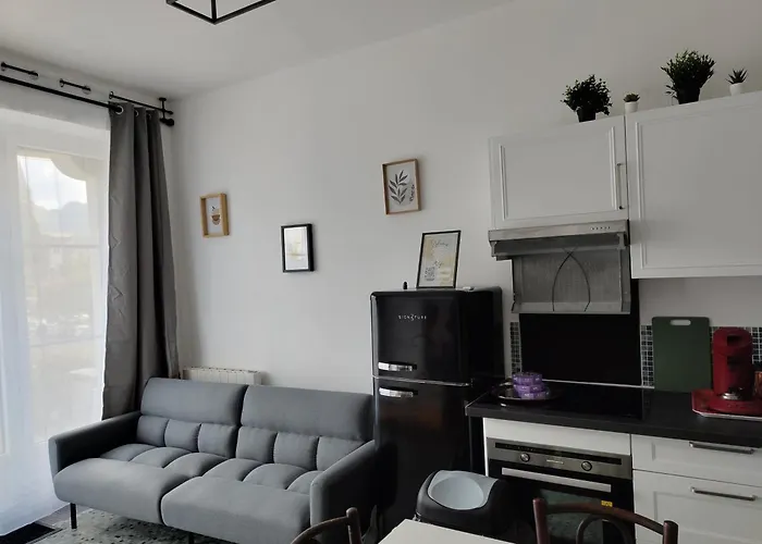 Avec 2 Jusqu'a 6 Voyageurs Proche Centre Appartement Lourdes